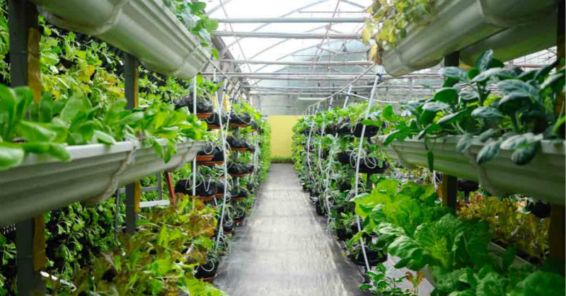 农业的未来:机器人,蜜蜂,植物种植袋,垂直农场.
